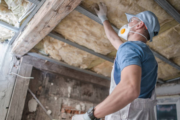 Best Spray Foam Insulation  in Beeville, TX