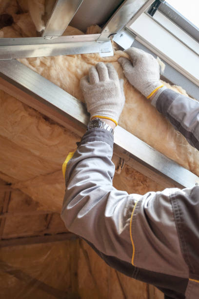 Best Insulation Removal Services  in Beeville, TX